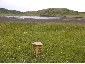 SUN SET STOOL oak